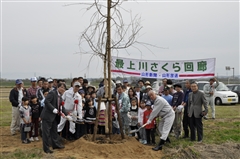 「最上川さくら回廊」植樹の様子