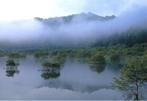 湖の朝