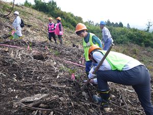 日本通運の社員とその家族が植林をする様子