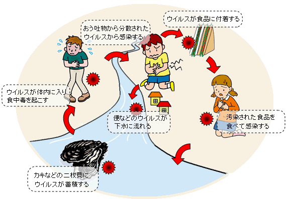 ノロウイルス 症状